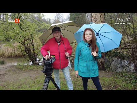 Видео: Защо изчезва българската арония, "Бразди" 05.04.2025