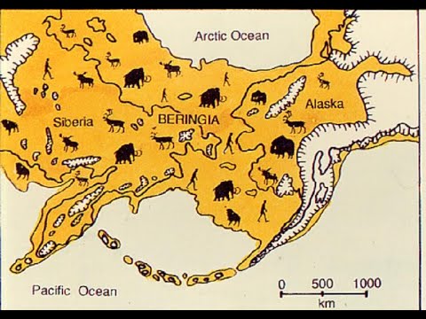 Видео: Берингия