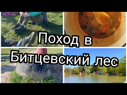 Видео: Родник в лесу весенний лес в Москве Битцевский лесопарк