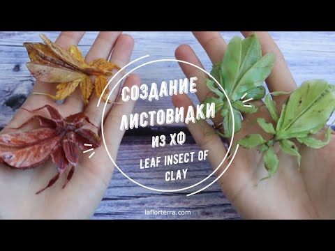 Видео: СОЗДАНИЕ ЛИСТОВИДКИ - ВИДЕОУРОК/ Leaf insect tutorial