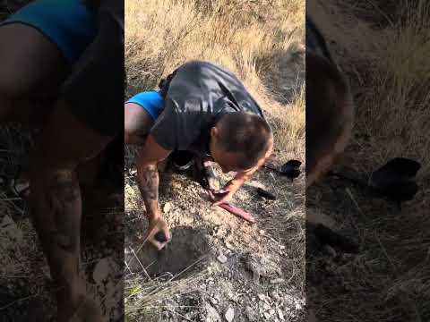 Видео: Ще кача остатъка от видеото някой ден по определени причини 