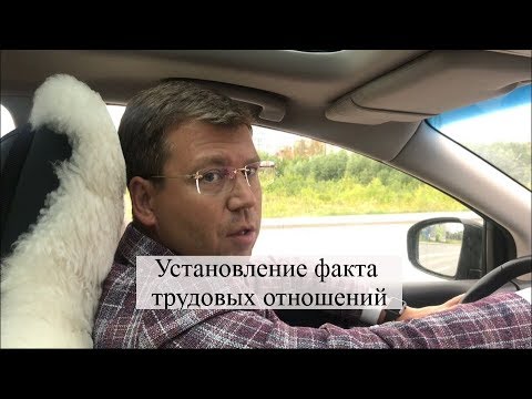 Видео: Установление факта трудовых отношений: трудовые споры, суд, помощь адвоката