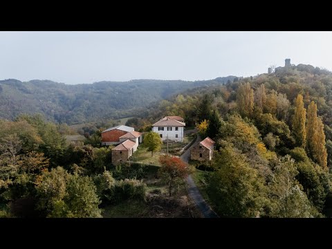 Видео: Каменные стены, штабеля дров и осенние дни