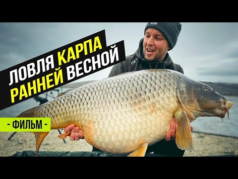 Видео: Карпфишинг. Поймали Карпа на 21 кг! Просянка. Водоём Разлив. Часть 1.