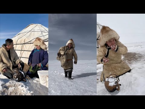 Видео: Традиционная монгольская кочевая жизнь на лугах! Коллекция 11 #еда #кулинария #монголия
