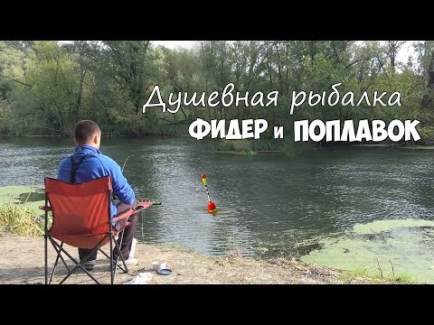 Видео: Душевная рыбалка! ЛОВЛЯ на ПОПЛАВОК и ФИДЕР на СЕВЕРСКОМ ДОНЦЕ