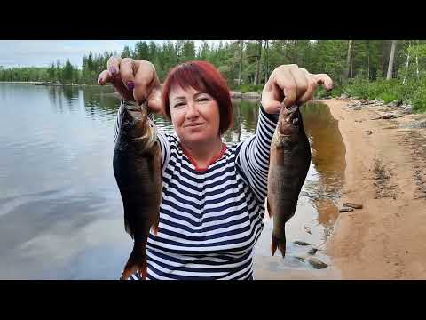 Видео: УЛЬМАНГА часть 5