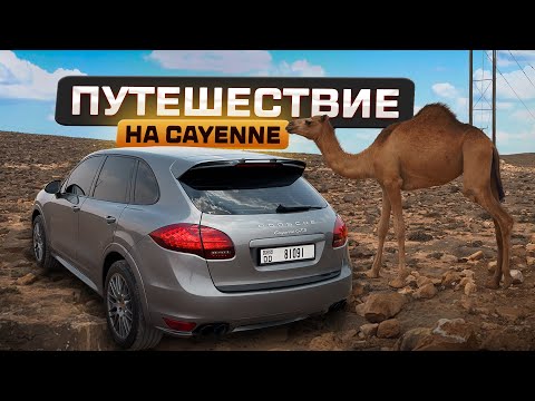 Видео: ИЗ ДУБАЯ В САЛАЛА НА МАШИНЕ | SALALAH, OMAN