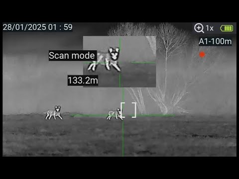 Видео: ОХОТА НА ВОЛКА С ВАБОЙ. Добыл двух волков с приборами ARKON