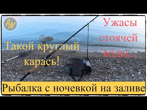 Видео: Карась, сазан? Что может предложить вам залив Волги!