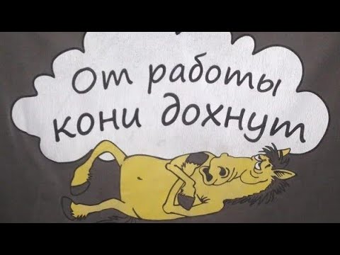 Видео: Ну вот и лето, каждый день в работе.