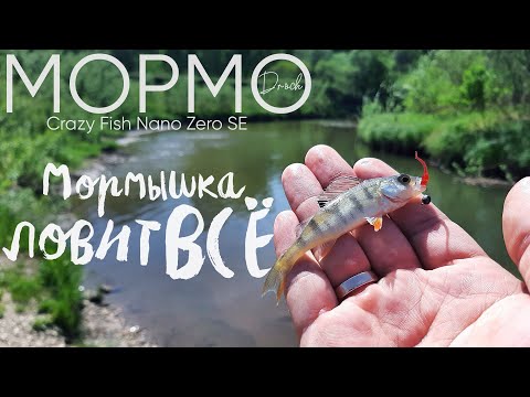 Видео: С мормышкой на речку ► МОРМЫШИНГ