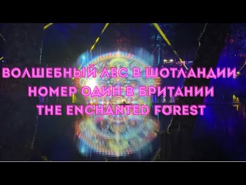 Видео: ВОЛШЕБНЫЙ ЛЕС В Шотландии . Номер  ОДИН В БРИТАНИИ. The  ENCHANTED FOREST 🌳🪄 