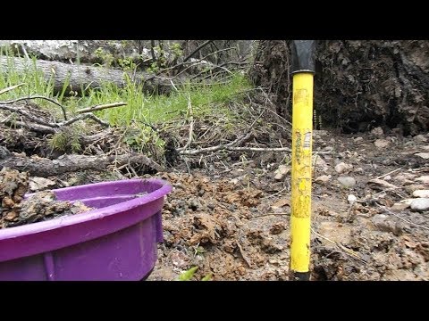 Видео: Тайга, золото, пороги