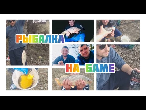 Видео: БАМ Рыбалка Макушатники Карп Фидер Дунай Сасык