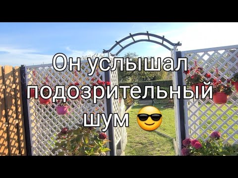 Видео: Наша Дача на севере Германии/Кто-то шарится по участку.