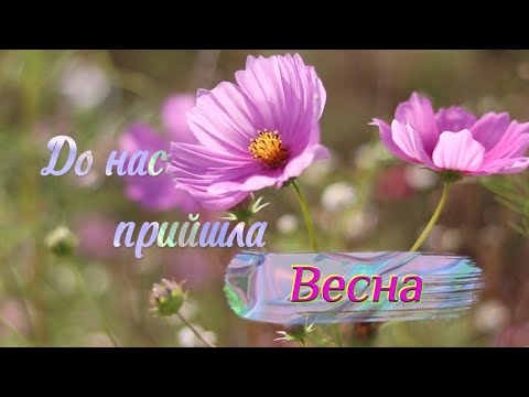 Видео: "До нас прийшла весна"! Легка та чудова пісенька про весну! 8 березня! Дитячий хіт!