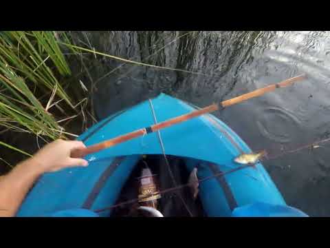 Видео: Рыбалка  на экраны  В прозрачной  воде