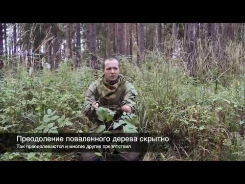 Видео: Скрытное преодоление поваленного дерева