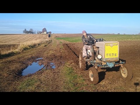 Видео: Остання оранка. Дуже мокро але ми справились.