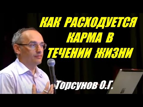 Видео: Как расходуется карма в течении жизни. Учимся жить. Торсунов О.Г.