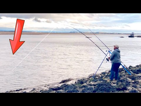 Видео: «ВОТ ЭТО ЖИРНАЯ» РЫБАЛКА на РЕКЕ МЕРСИ!