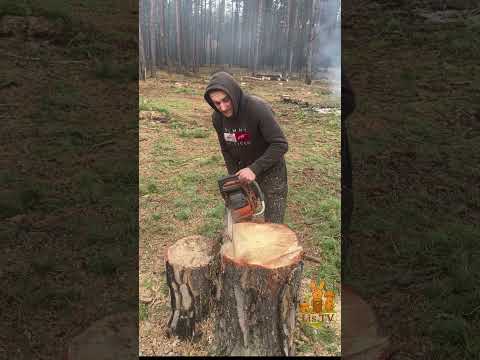 Видео: 8 листопада 2025 р.