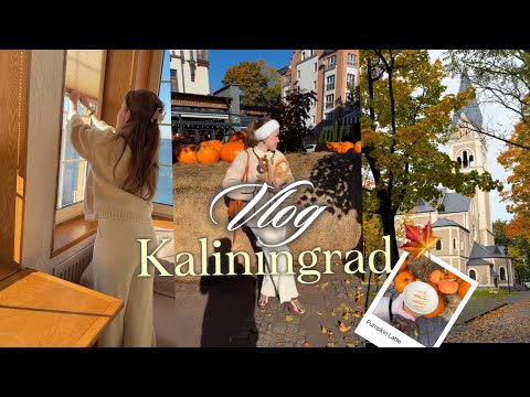 Видео: Влог из Калининграда | Вкусные и Интересные места, которые точно стоит посетить