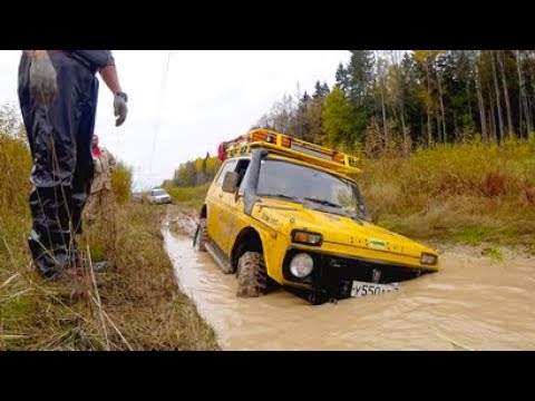 Видео: [Трек]Фряновская лэп, болота, речки и горка. В поисках грязи.