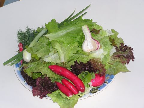 Видео: МОИ ОГОРОДНЫЕ ДЕЛА В НАЧАЛЕ МАЯ