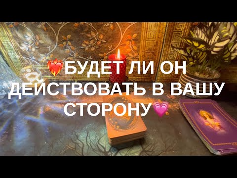 Видео: 10 ноября 2025 г.