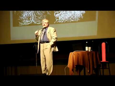 Видео: Профессор С.В. Савельев - лекция: "Мозг современного человека"