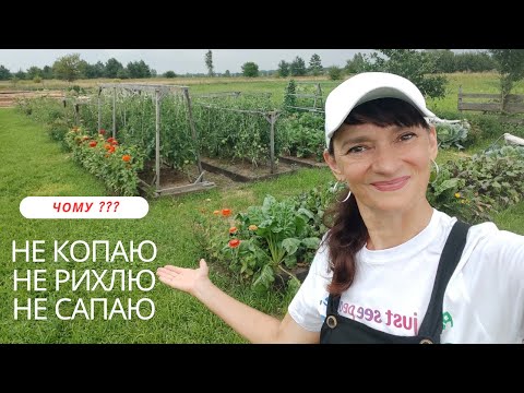 Видео: ЗАБУЛА про  лопату та сапку! Мій "лінивий" город)))