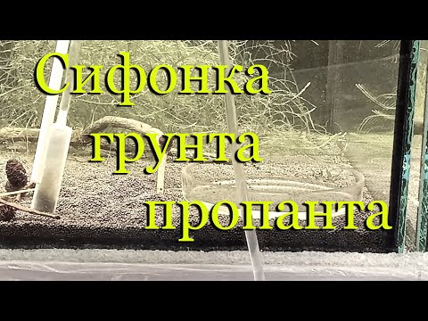 Видео: Грунт пропант для креветок (креветочника), как сифонить (просифонить) грунт с креветками