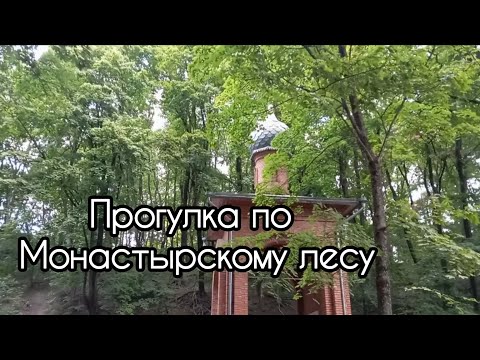 Видео: Прогулка по лесу с богатой историей