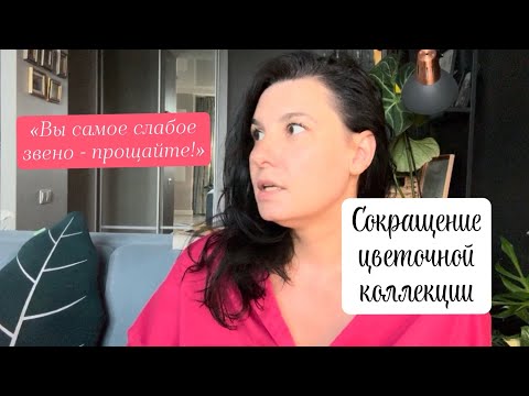 Видео: Сокращение коллекции: зачем, кого и почему