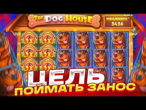 Видео: ЦЕЛЬ - ПОЙМАТЬ ЗАНОС В DOG HOUSE MEGAWAYS НА 500К!