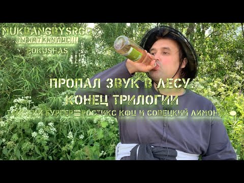 Видео: Пропал звук в Лесу. Конец Трилогии. ТАЙСКИЙ БУРГЕР🍔Ростикс КФЦ и Совецкий ЛИМОНАД🍋  МУКБАНГ MUKBANG