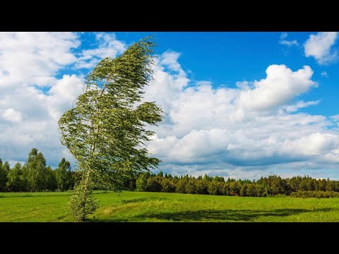 Видео: Почему дует ветер?
