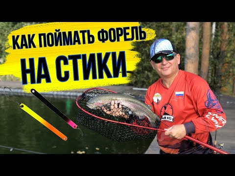 Видео: Как поймать форель на СТИК.