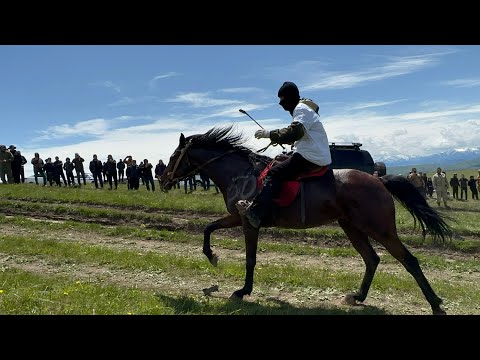 Видео: Конный пробег на 37 км в горах Карачаево-Черкессии. Все породы.