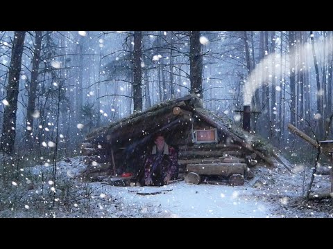 Видео: ЗЕМЛЯНКА СПАСАЕТ В НЕПОГОДУ. ШТОРМОВОЙ ВЕТЕР и СНЕГОПАД ЗАСТАЛ в ЛЕСУ.  СЛОМАЛ ТОПОР. ЖАРЮ ДРАНИКИ