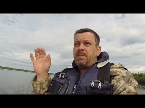 Видео: Рыбалка на перемёт Рекордный судак на 4кг755гр