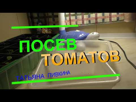 Видео: Посев томатов МАРТ (ч1) с Татьяной Пивкиной.