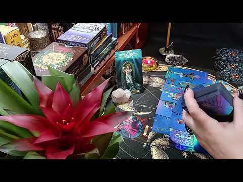 Видео: 4 КОРОЛЕВЫ 💃что приятное ожидает вас в ближайшее время 😱💫❤️💯#таро #tarot #гадание #youtuber 