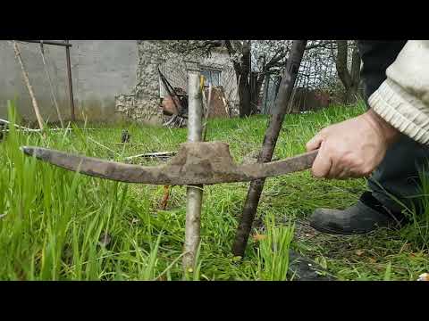 Видео: корчеватель для поросли