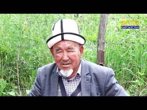 Видео: МЕНИН АЙЫЛЫМ // Корул айылы