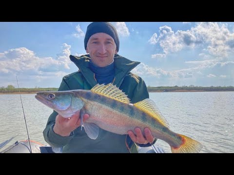 Видео: Вокруг одни СЕТИ! Рыбалка в заливе Цимлянского водохранилища!