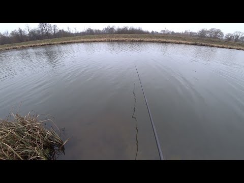 Видео: ЛОВЛЯ НА МАХОВУЮ УДОЧКУ В ЗИМНЕЕ ВРЕМЯ ГОДА) ЖДЕМ ЛЕД И НЕ СИДИМ ДОМА) ЗИМА ВЕРНИСЬ Я ВСЕ ПРОЩУ🤣🤣🤣🤣🤣