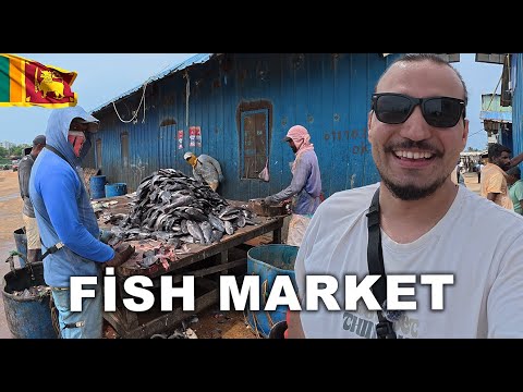 Видео: ИНТЕРЕСНЫЙ рыбацкий городок Шри-Ланки"! Рыбный воскресенье и блюда Шри-Ланки ~152㎡